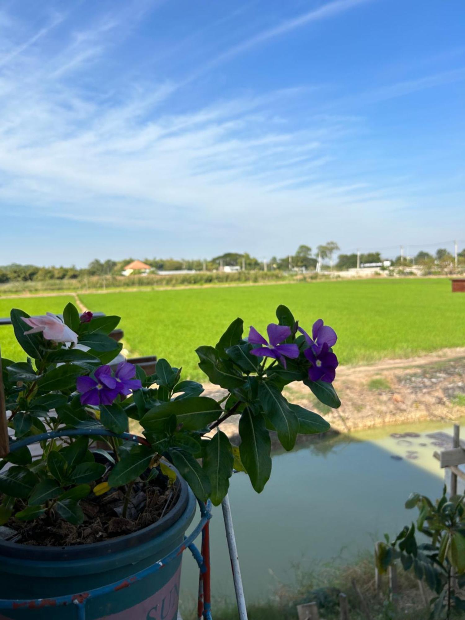 บ้านกลางเกาะ รีสอร์ท Uthai Thani Exteriör bild